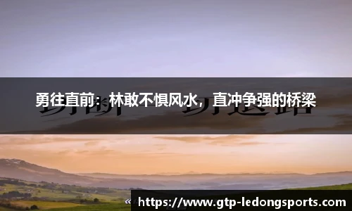 勇往直前:林敢不惧风水,直冲争强的桥梁
