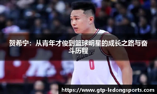 贺希宁:从青年才俊到篮球明星的成长之路与奋斗历程