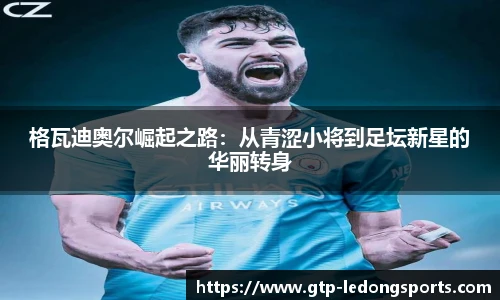 格瓦迪奥尔崛起之路:从青涩小将到足坛新星的华丽转身